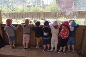 Sortie au zoo