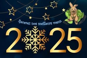 Voeux 2025