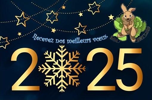 Voeux 2025